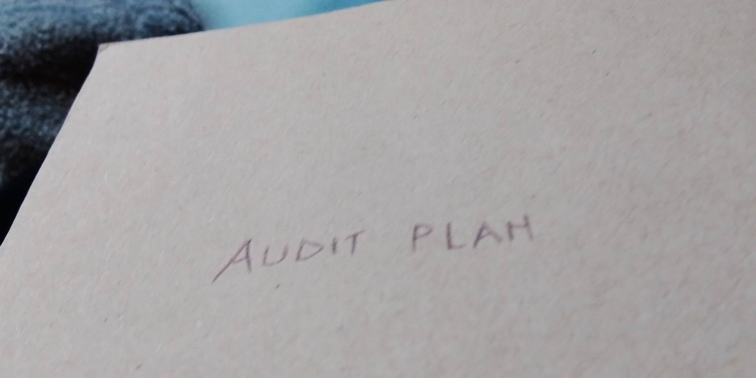 AUDIT PLAH