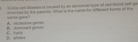 Sickle cell disease is caused by an abnormal type of red blood cell ge
inherited by the parents. What is the name for different forms of the
same gene?
A. recessive genes
B. dominant genes
C. traits
D. alleles