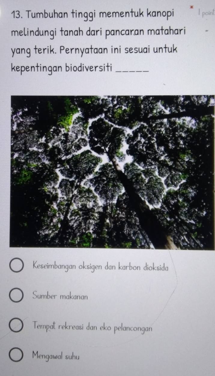 Tumbuhan tinggi mementuk kanopi I point
melindungi tanah dari pancaran matahari
yang terik. Pernyataan ini sesuai untuk
kepentingan biodiversiti_
Keseimbangan oksigen dan karbon dioksida
Sumber makanan
Tempat rekreasi dan eko pelancongan
Mengawal suhu