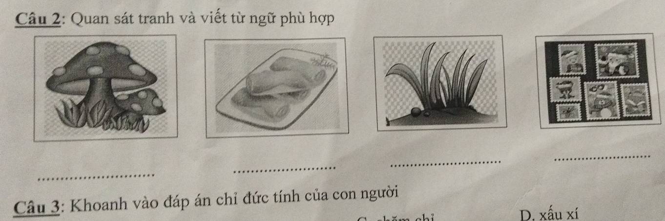 Quan sát tranh và viết từ ngữ phù hợp
_
_
_
_
_
Câu 3: Khoanh vào đáp án chỉ đức tính của con người
D. xấu xí