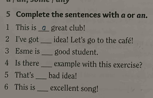 any 
5 Complete the sentences with a or an. 
1 This is _□_ great club! 
2 I’ve got_ idea! Let's go to the café! 
3 Esme is _good student. 
4 Is there _example with this exercise? 
5 That's _bad idea! 
6 This is _excellent song!