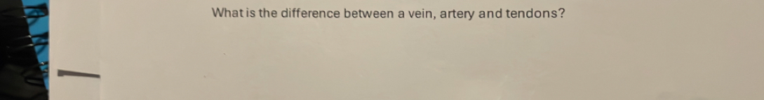 What is the difference between a vein, artery and tendons?