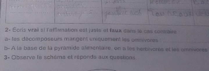 dans le cas contraire : 
a- les décomposeurs mangent uniquement les omnivores :_ 
b- A la base de la pyramide alimentaire, on a les herbivores et les omnivores 
3- Observe le schéma et réponds aux questions.