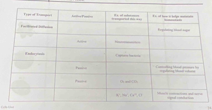 Cells Unit
24