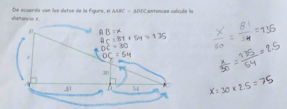 De acuerdo con los datos de la figura, si △ ABCsim △ DEC entonces calcule la 
distancia x.