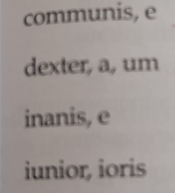 communis, e
dexter, a, um
inanis, e
iunior, ioris