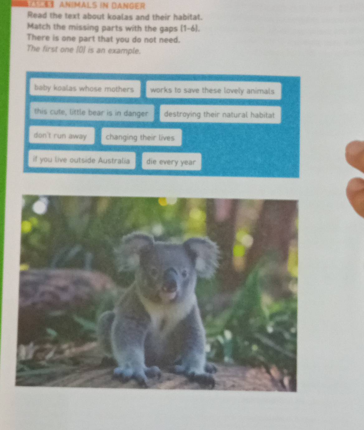 LS st animals in Danger
Read the text about koalas and their habitat.
Match the missing parts with the gaps (1-6).
There is one part that you do not need.
The first one (0) is an example.
baby koalas whose mothers works to save these lovely animals
this cute, little bear is in danger destroying their natural habitat
don't run away changing their lives
if you live outside Australia die every year