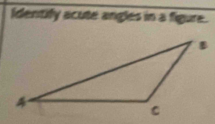 Identify acute angles in a figure.