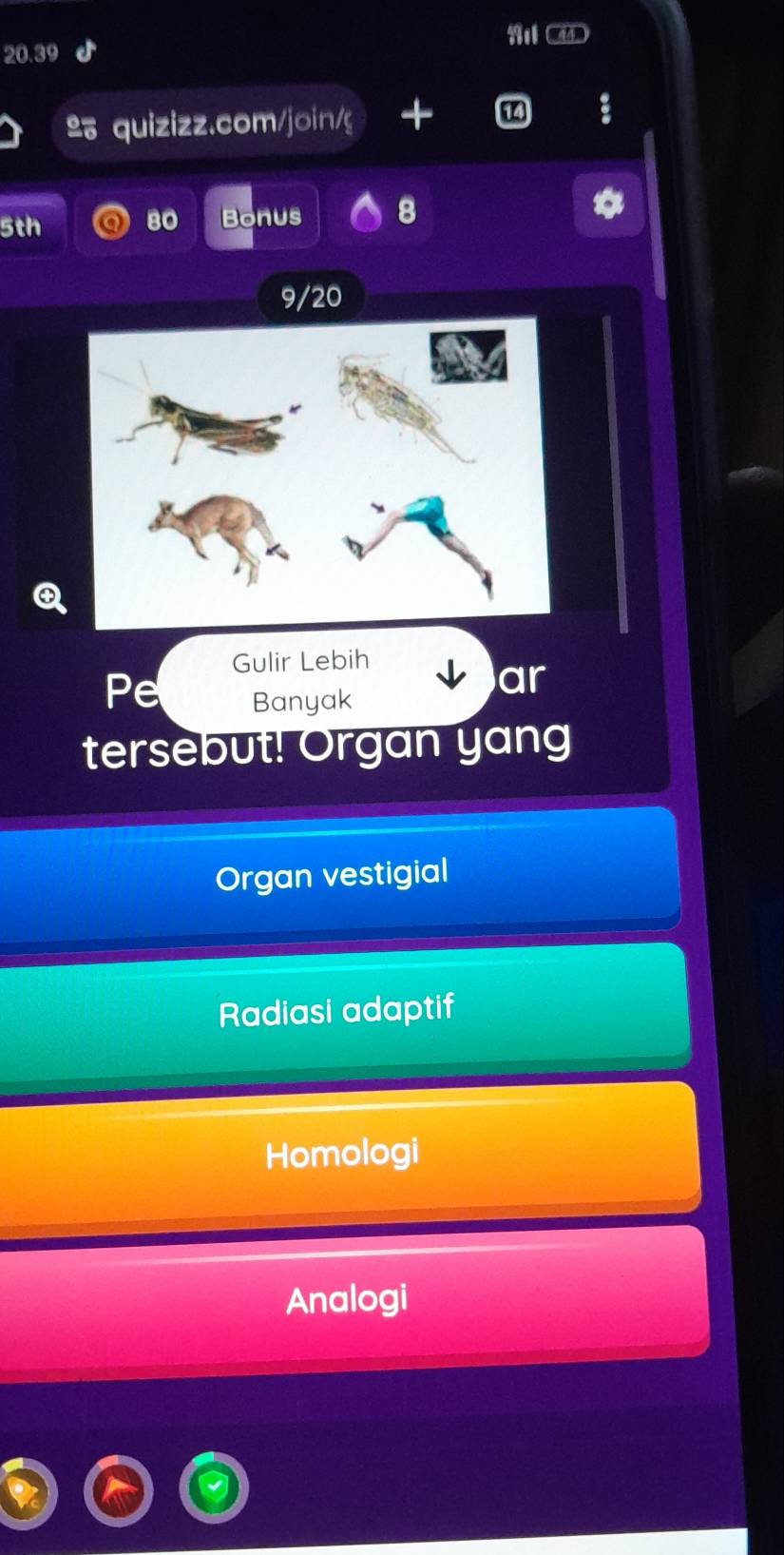 00 
º quizizz.com/join/g +
5th Bonus 8
80
9/20
Gulir Lebih
Pe Banyak
ar
tersebut! Organ yang
Organ vestigial
Radiasi adaptif
Homologi
Analogi