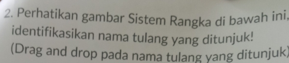 Perhatikan gambar Sistem Rangka di bawah ini, 
identifikasikan nama tulang yang ditunjuk! 
(Drag and drop pada nama tulang vang ditunjuk)