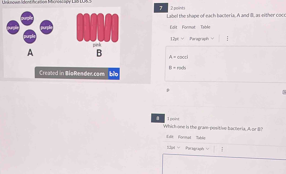 Solved: Unknown Identification Microscopy Lab LO8.5 7 2 points Label ...