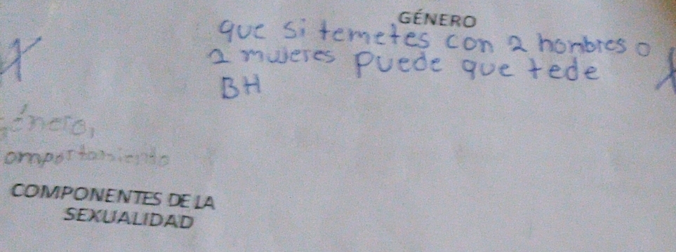 éNEI 
COMPONENTES DE LA 
SEXUALIDAD