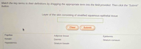 Match the key terms to their definitions by dragging the appropriate term into the field provided. Then click the ''Submit''
button.
Layer of the skin consisting of stratified squamous epithelial tissue
Clear Submit
Papillae Adipose tissue Epidermis
Keratin Dermis Stratum comeum
Hypodermis Stratum basale