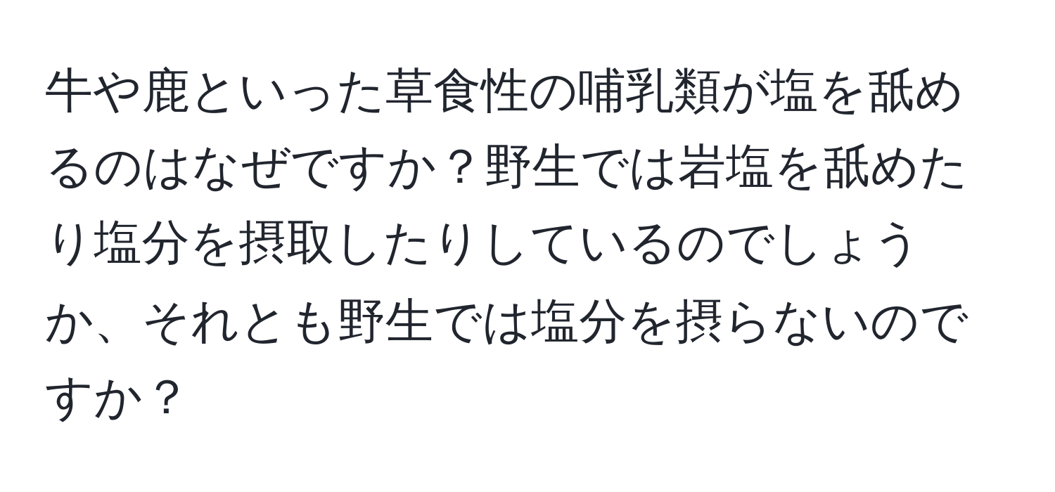 牛や鹿といった草食性の哺乳類が塩を舐めるのはなぜですか？野生では岩塩を舐めたり塩分を摂取したりしているのでしょうか、それとも野生では塩分を摂らないのですか？