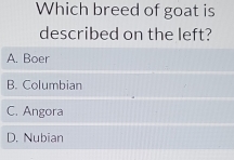 Which breed of goat is
described on the left?
A. Boer
B. Columbian
C. Angora
D. Nubian