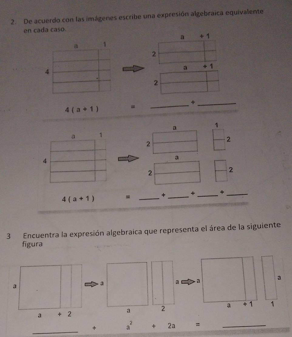 De acuerdo con las imágenes escribe una expresión algebraica equivalente 
en cada caso. 
a +1
a 1
2
a +1
4
2
_ 
_+
4(a+1) =
a
1
a 1
2
2
4
a 
□
2
2
4(a+1) = _+ _ _+_ 
3 Encuentra la expresión algebraica que representa el área de la siguiente 
figura 
a a 
a 
a 
a
a +1 1
a+2
a 2
_ 
+ a^2+2a= _