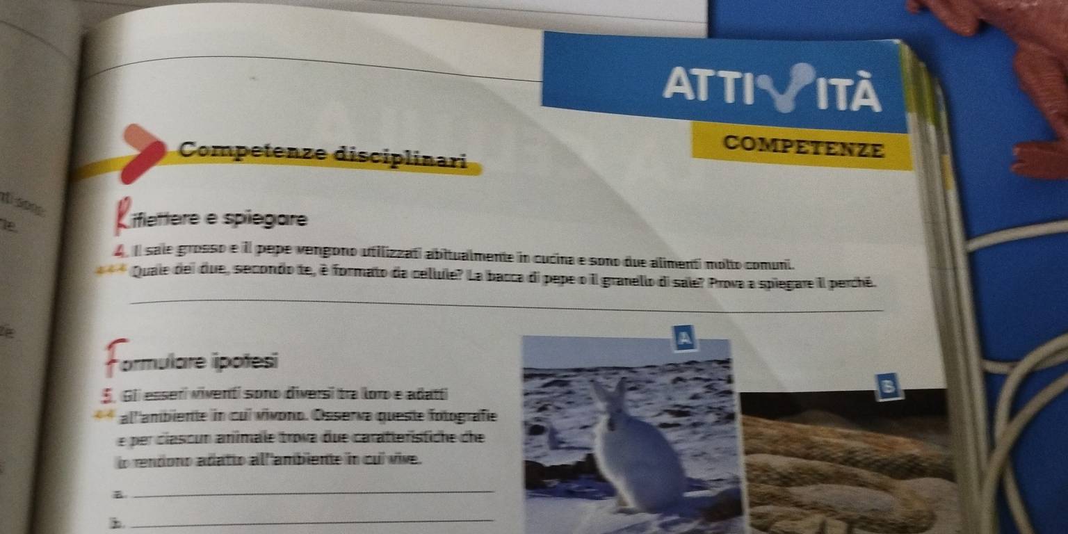 atti √ità 
COMPETENZE 
Competenze disciplinari 
1 Lifiettere e spiegore 
1e 
4 Il sale grosso e il pepe vengono utilizzati abitualmente in cucina e sono due alimentí molto comuni. 
_ 
C Quale dei due, secondo te, é formato da cellule? La bacca di pepe o Il granello di sale? Prova a spiegare II perché. 
*ormulare poñesi 
5. GIi esserí viventi sono diversi tra loro e adatti 
C 4 all'ambiente in cui vivono. Osserva queste fotografie 
e per clascun animale trova due caratteristiche che 
to rendono adatto alfambiente in cuí vive. 
_ 
_b