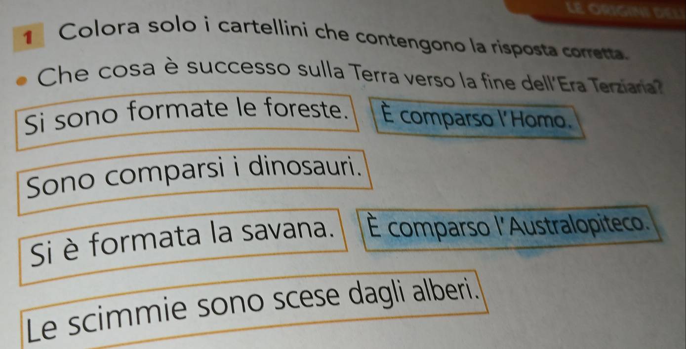 LE ORIGINI DEL
1Colora solo i cartellini che contengono la risposta corretta.
Che cosa è successo sulla Terra verso la fine dell'Era Terziara?
Si sono formate le foreste. É comparso l'Homo.
Sono comparsi i dinosauri.
Si è formata la savana. È comparso l'Australopiteco.
Le scimmie sono scese dagli alberi.