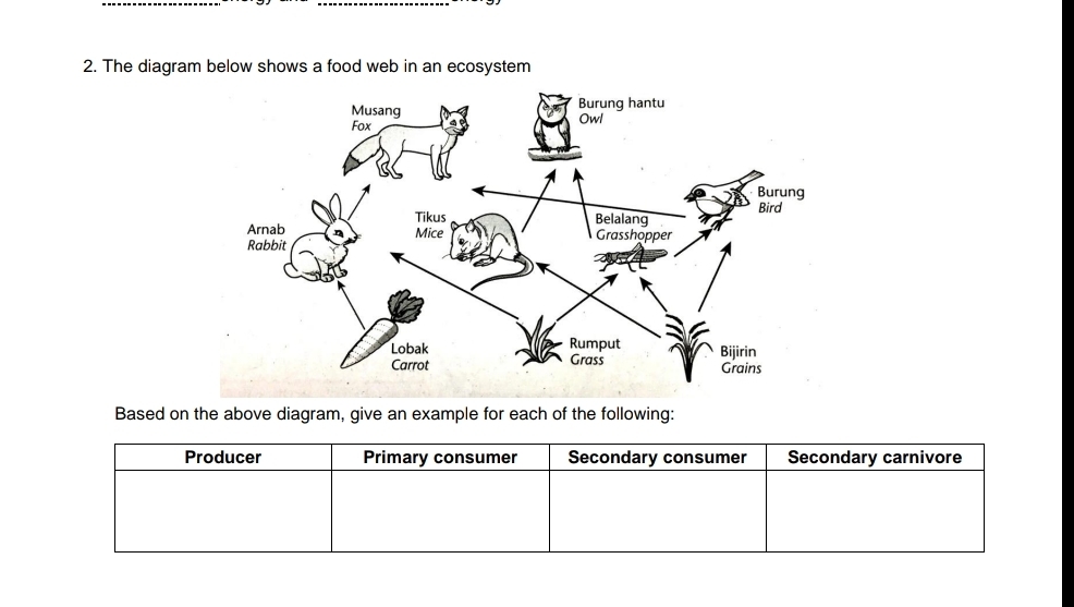 The diagram below shows a food web in an ecosystem
Based on the above diagram, give an example for each of the following:
Producer Primary consumer Secondary consumer Secondary carnivore