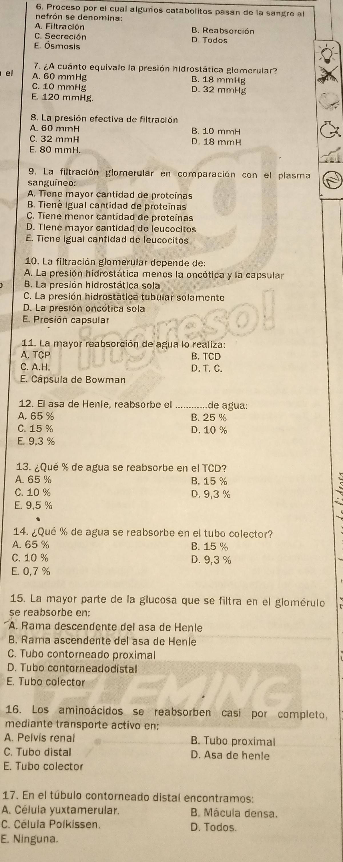 Proceso por el cual algurios catabolitos pasan de la sangre al
nefrón se denomina:
A. Filtración B. Reabsorción
C. Secreción D. Todos
E. Ósmosis
7. ¿A cuánto equivale la presión hidrostática glomerular?
el A. 60 mmHg B. 18 mmHg
C. 10 mmHg D. 32 mmHg
E. 120 mmHg.
8. La presión efectiva de filtración
A. 60 mmH B. 10 mmH
C. 32 mmH D. 18 mmH
E. 80 mmH.
9. La filtración glomerular en comparación con el plasma
sanguíneo:
A. Tiene mayor cantidad de proteínas
B. Tienê igual cantidad de proteínas
C. Tiene menor cantidad de proteínas
D. Tiene mayor cantidad de leucocitos
E. Tiene igual cantidad de leucocitos
10. La filtración glomerular depende de:
A. La presión hidrostática menos la oncótica y la capsular
B. La presión hidrostática sola
C. La presión hidrostática tubular solamente
D. La presión oncótica sola
E. Presión capsular
11. La mayor reabsorción de agua lo realiza:
A. TCP B. TCD
C. A.H. D. T. C.
E. Cápsula de Bowman
12. El asa de Henle, reabsorbe el _.de agua:
A. 65 % B. 25 %
C. 15 % D. 10 %
E. 9.3 %
13. ¿Qué % de agua se reabsorbe en el TCD?
A. 65 % B. 15 %
C. 10 % D. 9,3 %
E. 9,5 %
14. ¿Qué % de agua se reabsorbe en el tubo colector?
A. 65 % B. 15 %
C. 10 % D. 9,3 %
E. 0,7 %
15. La mayor parte de la glucośa que se filtra en el glomérulo
se reabsorbe en:
A. Rama descendente del asa de Henle
B. Rama ascendente del asa de Henle
C. Tubo contorneado proximal
D. Tubo contorneadodistal
E. Tubo colector
16. Los aminoácidos se reabsorben casi por completo,
mediante transporte activo en:
A. Pelvis renal B. Tubo proximal
C. Tubo distal D. Asa de henle
E. Tubo colector
17. En el túbulo contorneado distal encontramos:
A. Célula yuxtamerular. B. Mácula densa.
C. Célula Polkissen. D. Todos.
E. Ninguna.