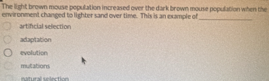 The light brown mouse population increased over the dark brown mouse population when the
environment changed to lighter sand over time. This is an example of_
artificial selection
adaptation
evolution
mutations
natural selection