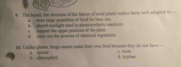 The broad, flat structure of the leaves of most plants makes them well adapted to —_
a. store large quantities of food for later use.
b. absorb sunlight used in photosynthetic reactions.
c. support the upper portions of the plant.
d. carry out the process of chemical regulation.
10. Unlike plants, fungi cannot make their own food because they do not have —--
a. spores c. roots
b. chlorophyll d. hyphae