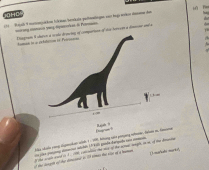 JOHOR 
(5) Rajah 9 menanjukkan lukisan berskala perbandingan saiz bagi serkor dinasour dan (uf) Has 
dat 
seorang manusia yang diçamerkan di Petrsains. ba 
yu 
Eriagram 9rison of size between a dinosoue and a 
da 
human in a 
H 
Diagram 9 
Jika skala yang digunakan ialəh 1:100 A hitung saiz panjang sebenar, dalsm m, dinusour 
O ganda darpada saiz manunia 
[3-markah/ marks] 
if the length of the dinosaur is 15 times the size of a human calculize the size of the actual lengrh, in m, of the dmorare
I:100
If the scale used is mu jika panjang dinasour adalah 1.5km