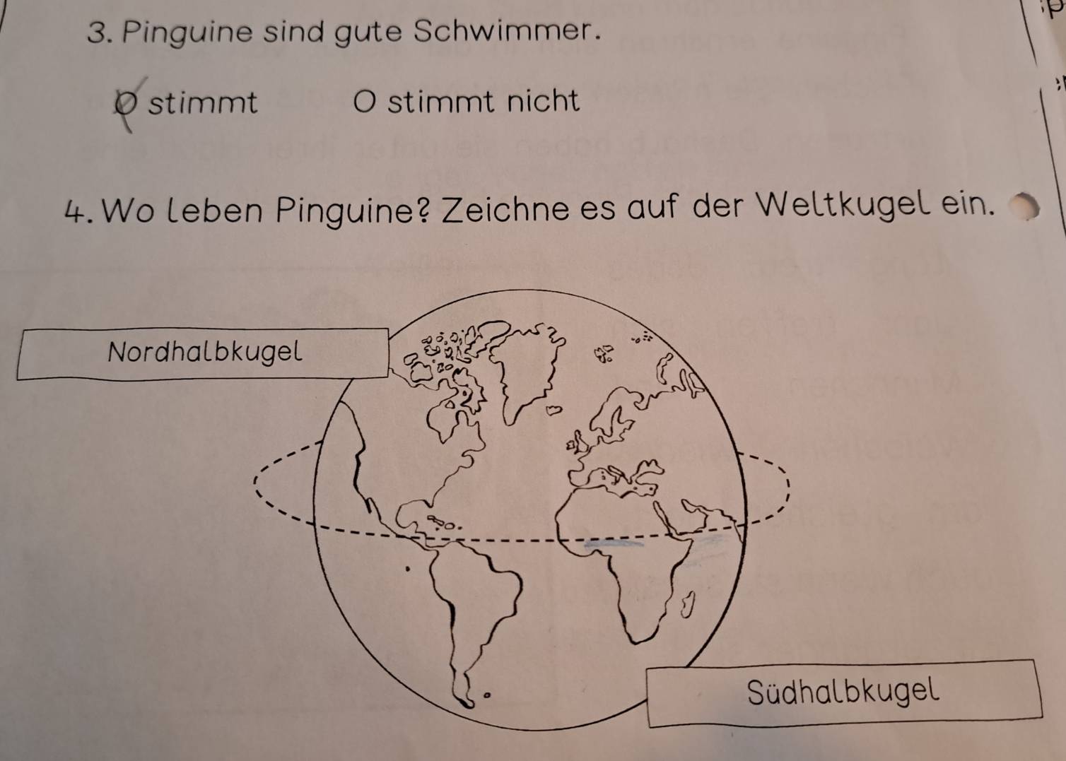 Pinguine sind gute Schwimmer.
;
Ostimmt O stimmt nicht
4. Wo leben Pinguine? Zeichne es auf der Weltkugel ein.