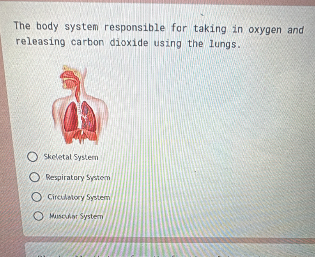 The body system responsible for taking in oxygen and
releasing carbon dioxide using the lungs.
Skeletal System
Respiratory System
Circulatory System
Muscular System