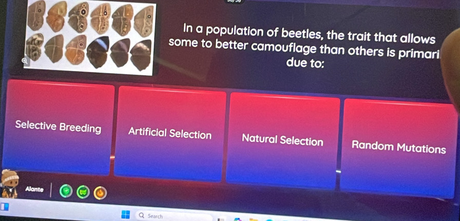 In a population of beetles, the trait that allows
some to better camouflage than others is primari
due to:
Selective Breeding Artificial Selection Natural Selection Random Mutations
Alante
Search