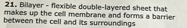Bilayer - flexible double-layered sheet that 
makes up the cell membrane and forms a barrier 
between the cell and its surroundings