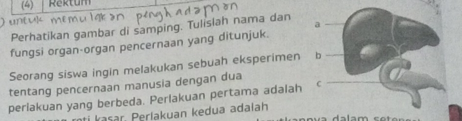 (4) Rektum 
Perhatikan gambar di samping. Tulislah nama dan 
fungsi organ-organ pencernaan yang ditunjuk. 
Seorang siswa ingin melakukan sebuah eksperimen 
tentang pencernaan manusia dengan dua 
perlakuan yang berbeda. Perlakuan pertama adalah 
ti kasar, Perlakuan kedua adalah