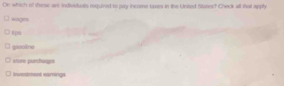 On which of these are individuals required to pay income taxes in the United States? Check all that apply.
wages
tips
gasoline
store purchases
Investment earnings