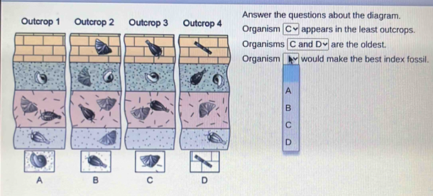 Solved: Answer the questions about the diagram. Outcrop 1 Outcrop 2 ...