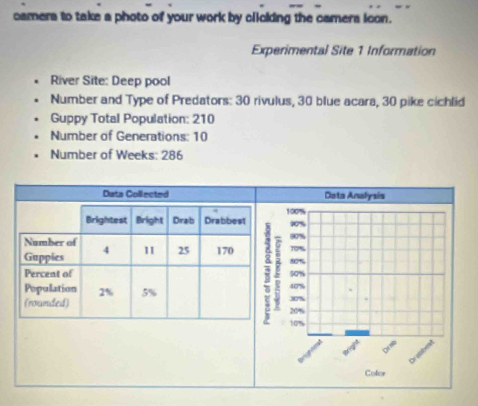 camers to take a photo of your work by clicking the camers icon. 
Experimental Site 1 Information 
River Site: Deep pool 
Number and Type of Predators: 30 rivulus, 30 blue acara, 30 pike cichlid 
Guppy Total Population: 210
Number of Generations: 10
Number of Weeks: 286