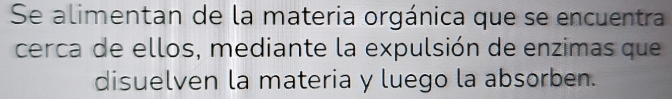 Se alimentan de la materia orgánica que se encuentra 
cerca de ellos, mediante la expulsión de enzimas que 
disuelven la materia y luego la absorben.