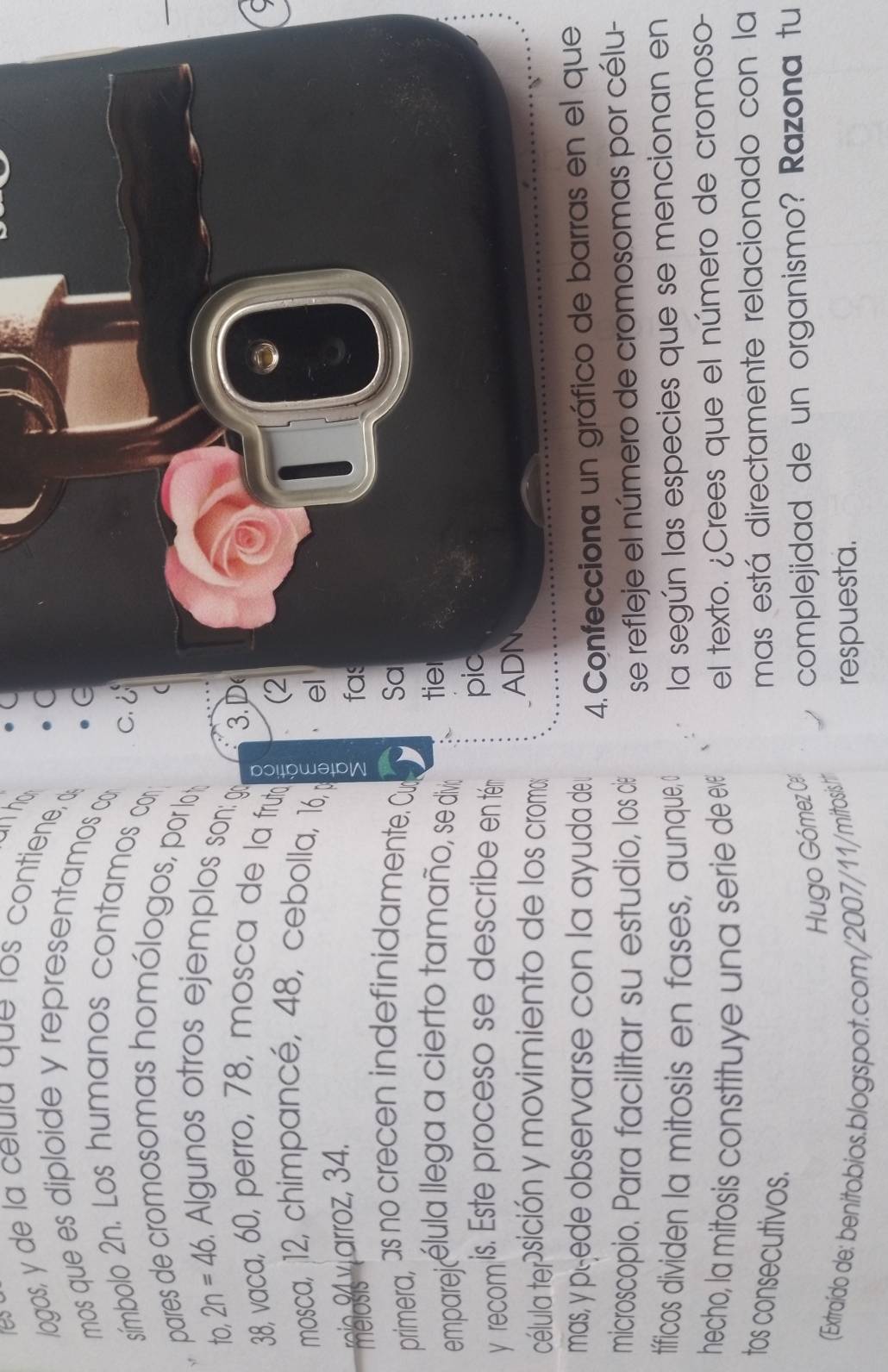 res 
ho 
a 
logos, y de la celula que los contiene, d 
mos que es diploide y representamos co G 
símbolo 2n. Los humanos contamos con C. 
( 
pares de cromosomas homólogos, por l 
to, 2n=46. Algunos otros ejemplos son: g 3.D
38, vaca, 60, perro, 78, mosca de la fruto 。 
(2 
mosca, 12, chimpancé, 48, cebolla, 16, el 
ma8 Yarroz, 34. 
2 fas 
TF 
primera, as no crecen indefinidamente. Cu Sa 
emparej élula llega a cierto tamaño, se divo tier 
y recom is. Este proceso se describe en tém pic 
ADN 
célula tepsición y movimiento de los cromo; 
mas, y peede observarse con la ayuda de 4.Confecciona un gráfico de barras en el que 
microscopio. Para facilitar su estudio, los d se refleje el número de cromosomas por célu- 
tífficos dividen la mitosis en fases, aunque, o la según las especies que se mencionan en 
hecho, la mitosis constituye una serie de ev el texto. ¿Crees que el número de cromoso- 
tos consecutivos. 
mas está directamente relacionado con la 
Hugo Gómez Ca complejidad de un organismo? Razona tu 
(Extraído de: benitobios.blogspot.com/2007/11/mitosis:h respuesta.