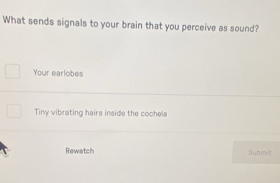 What sends signals to your brain that you perceive as sound?
Your earlobes
Tiny vibrating hairs inside the cochela
Rewatch Submit