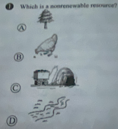 Which is a nonrenewable resource?
A
B
C
D