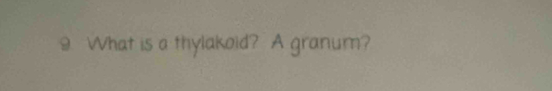 What is a thylakoid? A granum?