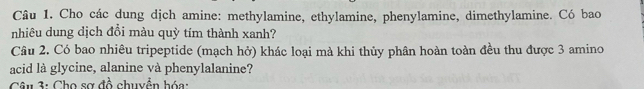 Cho các dung dịch amine: methylamine, ethylamine, phenylamine, dimethylamine. Có bao 
nhiêu dung dịch đổi màu quỳ tím thành xanh? 
Cầu 2. Có bao nhiêu tripeptide (mạch hở) khác loại mà khi thủy phân hoàn toàn đều thu được 3 amino 
acid là glycine, alanine và phenylalanine? 
Câu 3: Chọ sơ đồ chuyển hóa: