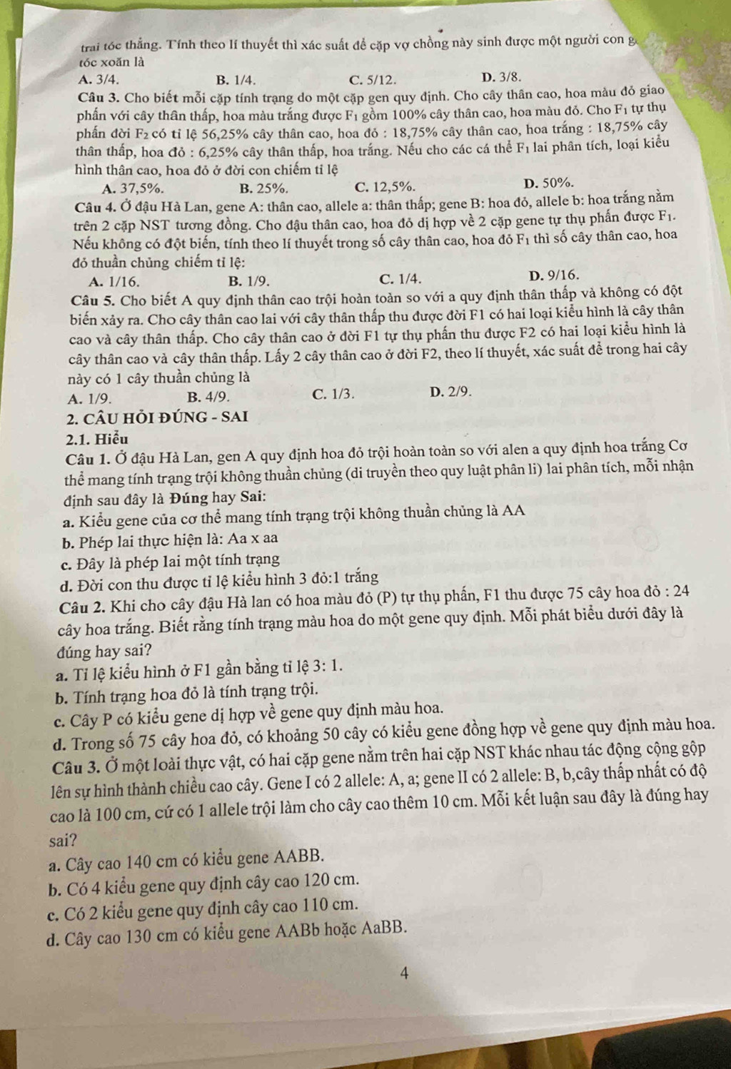 trai tóc thẳng. Tính theo lí thuyết thì xác suất để cặp vợ chồng này sinh được một người con g
tóc xoǎn là
A. 3/4. B. 1/4. C. 5/12. D. 3/8.
Câu 3. Cho biết mỗi cặp tính trạng do một cặp gen quy định. Cho cây thân cao, hoa màu đỏ giao
phần với cây thân thấp, hoa màu trắng được F1 gồm 100% cây thân cao, hoa màu đỏ. Cho F₁ tự thụ
phẩn đời F₂ có tỉ lệ 56,25% cây thân cao, hoa do:18 8,75% cây thân cao, hoa trắng : 18,75% cây
thân thấp, hoa đỏ : 6,25% cây thân thấp, hoa trắng. Nếu cho các cá thể F_1 lai phân tích, loại kiểu
hình thân cao, hoa đỏ ở đời con chiếm tỉ lệ
A. 37,5%. B. 25%. C. 12,5%. D. 50%.
Câu 4. Ở đậu Hà Lan, gene A: thân cao, allele a: thân thấp; gene B: hoa đỏ, allele b: hoa trắng nằm
trên 2 cặp NST tương đồng. Cho đậu thân cao, hoa đỏ dị hợp về 2 cặp gene tự thụ phấn được F1.
Nếu không có đột biến, tính theo lí thuyết trong số cây thân cao, hoa đỏ F_1 thì số cây thân cao, hoa
đỏ thuần chủng chiếm tỉ lệ:
A. 1/16. B. 1/9. C. 1/4. D. 9/16.
Câu 5. Cho biết A quy định thân cao trội hoàn toàn so với a quy định thân thấp và không có đột
biến xảy ra. Cho cây thân cao lai với cây thân thấp thu được đời F1 có hai loại kiểu hình là cây thân
cao và cây thân thấp. Cho cây thân cao ở đời F1 tự thụ phấn thu được F2 có hai loại kiểu hình là
cây thân cao và cây thân thấp. Lấy 2 cây thân cao ở đời F2, theo lí thuyết, xác suất để trong hai cây
này có 1 cây thuần chủng là
A. 1/9. B. 4/9. C. 1/3. D. 2/9.
2. CÂU HỒI ĐÚNG - SAI
2.1. Hiểu
Câu 1. Ở đậu Hà Lan, gen A quy định hoa đỏ trội hoàn toàn so với alen a quy định hoa trắng Cơ
thể mang tính trạng trội không thuần chủng (di truyền theo quy luật phân li) lai phân tích, mỗi nhận
định sau đây là Đúng hay Sai:
a. Kiểu gene của cơ thể mang tính trạng trội không thuần chủng là AA
b. Phép lai thực hiện là: Aa x aa
c. Đây là phép lai một tính trạng
d. Đời con thu được tỉ lệ kiểu hình 3 đỏ:1 trắng
Câu 2. Khi cho cây đậu Hà lan có hoa màu đỏ (P) tự thụ phần, F1 thu được 75 cây hoa do:24
cây hoa trắng. Biết rằng tính trạng màu hoa do một gene quy định. Mỗi phát biểu dưới đây là
dúng hay sai?
a. Tỉ lệ kiểu hình ở F1 gần bằng tỉ lệ 3:1.
b. Tính trạng hoa đỏ là tính trạng trội.
c. Cây P có kiểu gene dị hợp về gene quy định màu hoa.
d. Trong số 75 cây hoa đỏ, có khoảng 50 cây có kiểu gene đồng hợp về gene quy định màu hoa.
Câu 3. Ở một loài thực vật, có hai cặp gene nằm trên hai cặp NST khác nhau tác động cộng gộp
lên sự hình thành chiều cao cây. Gene I có 2 allele: A, a; gene II có 2 allele: B, b,cây thấp nhất có độ
cao là 100 cm, cứ có 1 allele trội làm cho cây cao thêm 10 cm. Mỗi kết luận sau đây là đúng hay
sai?
a. Cây cao 140 cm có kiểu gene AABB.
b. Có 4 kiểu gene quy định cây cao 120 cm.
c. Có 2 kiểu gene quy định cây cao 110 cm.
d. Cây cao 130 cm có kiểu gene AABb hoặc AaBB.
4