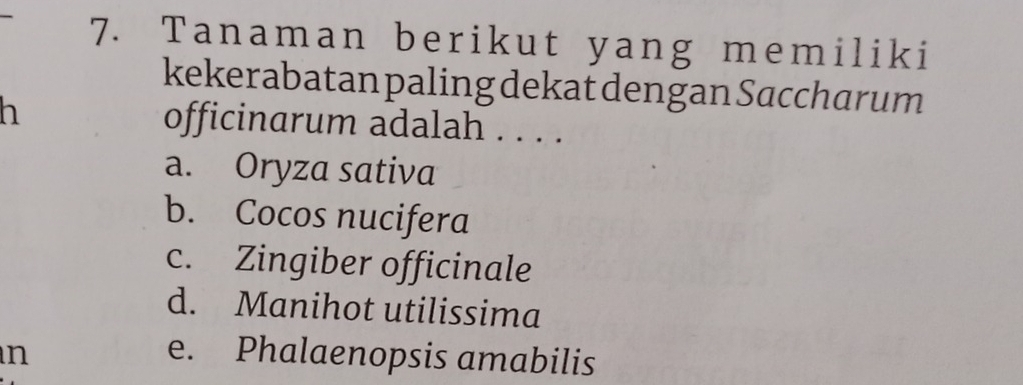 Tanaman berikut yang memiliki
kekerabatan paling dekat dengan Saccharum
h officinarum adalah . . . .
a. Oryza sativa
b. Cocos nucifera
c. Zingiber officinale
d. Manihot utilissima
n e. Phalaenopsis amabilis