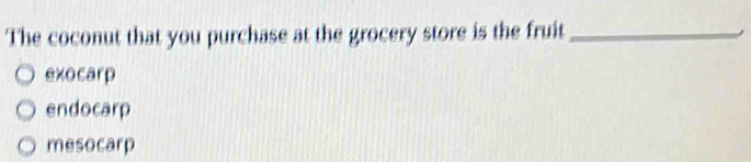 The coconut that you purchase at the grocery store is the fruit_
exocarp
endocarp
mesocarp