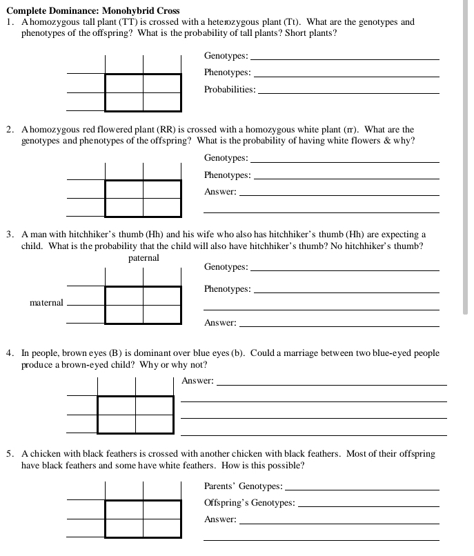 Complete Dominance: Monohybrid Cross 
1. A homozygous tall plant (TT) is crossed with a hetełzygous plant (Tt). What are the genotypes and 
phenotypes of the offspring? What is the probability of tall plants? Short plants? 
Genotypes:_ 
Phenotypes:_ 
Probabilities:_ 
2. A homozygous red flowered plant (RR) is crossed with a homozygous white plant (π). What are the 
genotypes and phenotypes of the offspring? What is the probability of having white flowers & why? 
Genotypes:_ 
Phenotypes:_ 
Answer:_ 
_ 
3. A man with hitchhiker’s thumb (Hh) and his wife who also has hitchhiker’s thumb (Hh) are expecting a 
child. What is the probability that the child will also have hitchhiker’s thumb? No hitchhiker's thumb? 
Genotypes:_ 
Phenotypes:_ 
_ 
Answer: 
_ 
4. In people, brown eyes (B) is dominant over blue eyes (b). Could a marriage between two blue-eyed people 
produce a brown-eyed child? Why or why not? 
Answer: 
_ 
_ 
_ 
_ 
5. A chicken with black feathers is crossed with another chicken with black feathers. Most of their offspring 
have black feathers and some have white feathers. How is this possible? 
Parents' Genotypes:_ 
Offspring's Genotypes:_ 
Answer: 
_ 
_