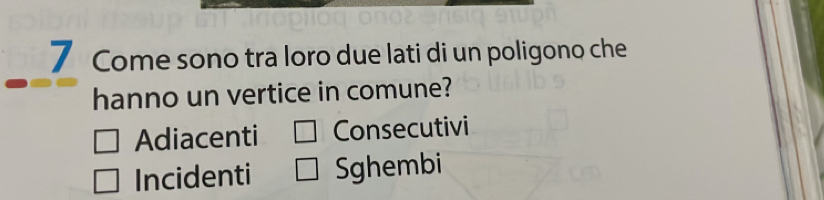 Come sono tra loro due lati di un poligono che
hanno un vertice in comune?
Adiacenti Consecutivi
Incidenti Sghembi