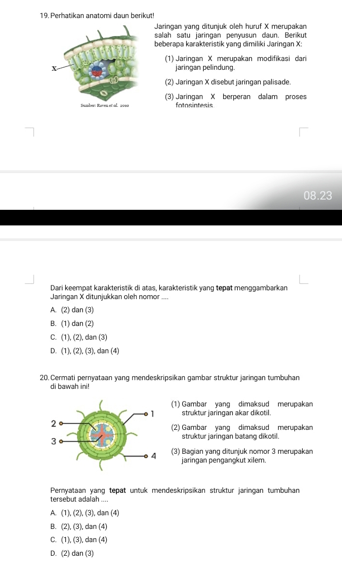 Perhatikan anatomi daun berikut!
Jaringan yang ditunjuk oleh huruf X merupakan
salah satu jaringan penyusun daun. Berikut
beberapa karakteristik yang dimiliki Jaringan X :
(1) Jaringan X merupakan modifikasi dari
jaringan pelindung.
(2) Jaringan X disebut jaringan palisade.
(3) Jaringan X berperan dalam proses
fotosintesis
08. 23
Dari keempat karakteristik di atas, karakteristik yang tepat menggambarkan
Jaringan X ditunjukkan oleh nomor ....
A. (2) dan (3)
B. (1) dan (2)
C. (1), (2), dan (3)
D. (1), (2), (3), dan (4)
20. Cermati pernyataan yang mendeskripsikan gambar struktur jaringan tumbuhan
di bawah ini!
(1) Gambar yang dimaksud merupakan
struktur jaringan akar dikotil.
(2) Gambar yang dimaksud merupakan
struktur jaringan batang dikotil.
(3) Bagian yang ditunjuk nomor 3 merupakan
jaringan pengangkut xilem.
Pernyataan yang tepat untuk mendeskripsikan struktur jaringan tumbuhan
tersebut adalah ....
A. (1), (2), (3), dan (4)
B. (2), (3), dan (4)
C. (1), (3), dan (4)
D. (2) dan (3)