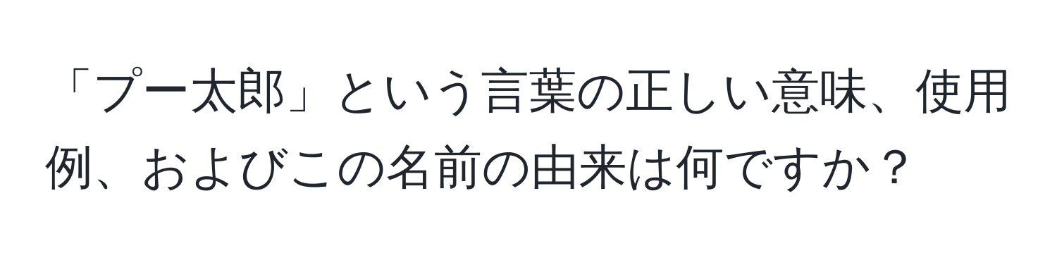 「プー太郎」という言葉の正しい意味、使用例、およびこの名前の由来は何ですか？