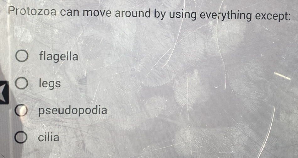 Protozoa can move around by using everything except:
flagella
legs
pseudopodia
cilia