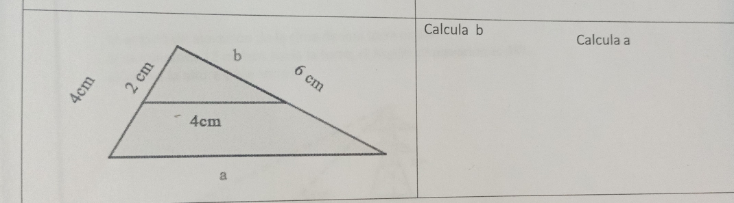 Calcula b
Calcula a
4cm